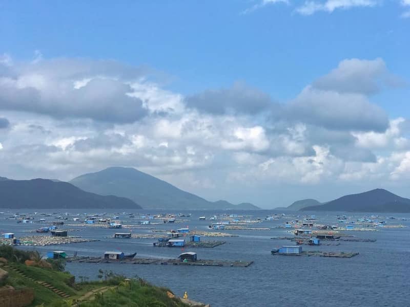 bai-xuan-dung-vinh-van-phong-5.jpg (80 KB)