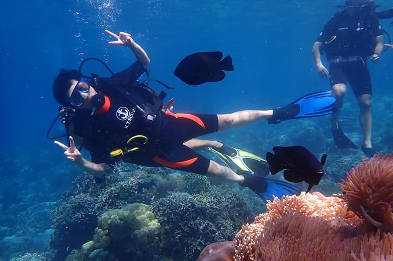 Top 4 tour lặn hot nhất hè Nha Trang