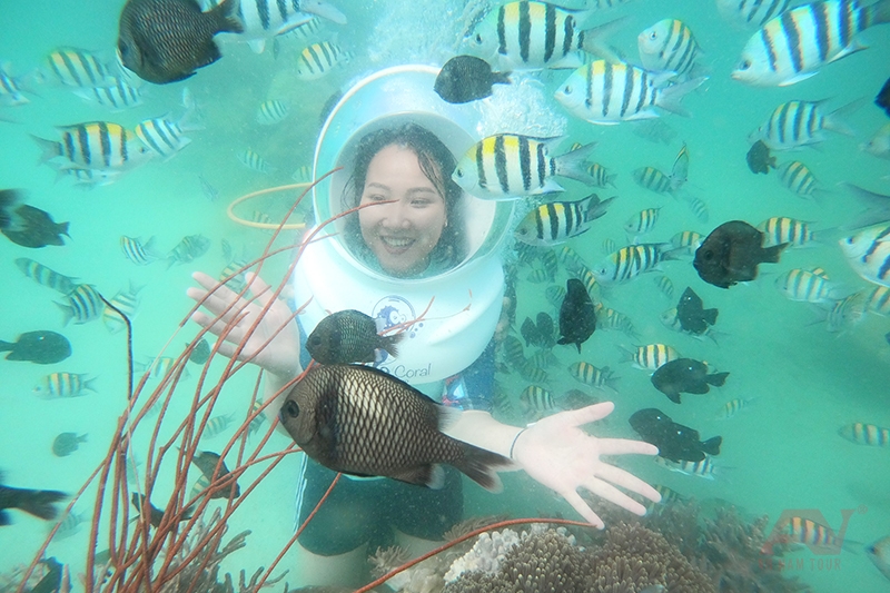 Đi bộ dưới đáy biển ở Nha Trang