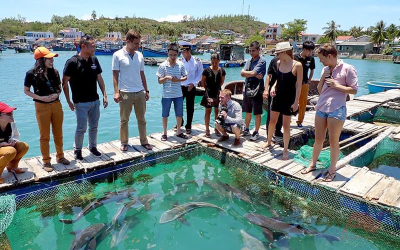 Chọn hải sản tại Làng Chài