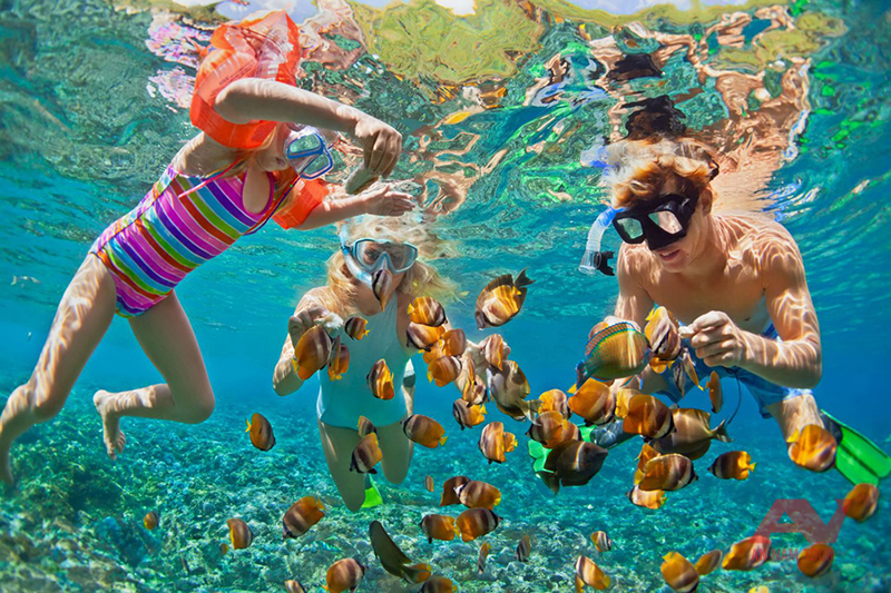 Snorkeling với thiết bị chuyên nghiệp