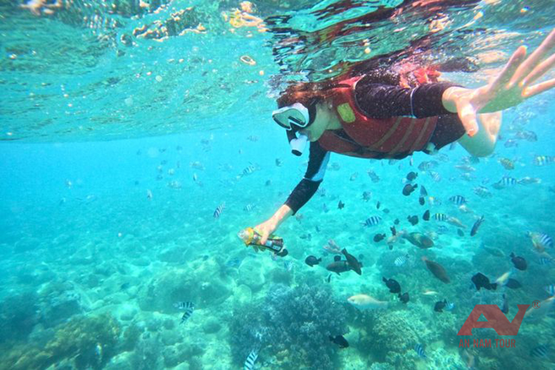 Snorkeling với thiết bị chuyên nghiệp