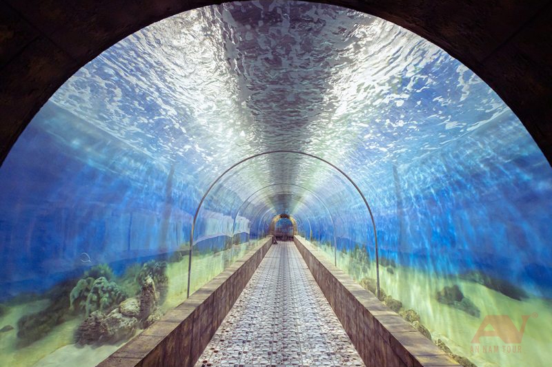Đường hầm thủy cung tại Viện Hải dương học